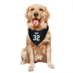 San Jose Sharks Arturs Irbe Black Pet Bandana for Dog & Cat