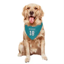 San Jose Sharks Filip Bystedt Teal Pet Bandana for Dog & Cat