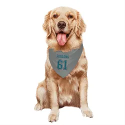 San Jose Sharks Jake Furlong Gray Pet Bandana for Dog & Cat