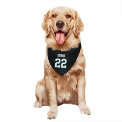 San Jose Sharks Vincent Iorio Black Pet Bandana for Dog & Cat